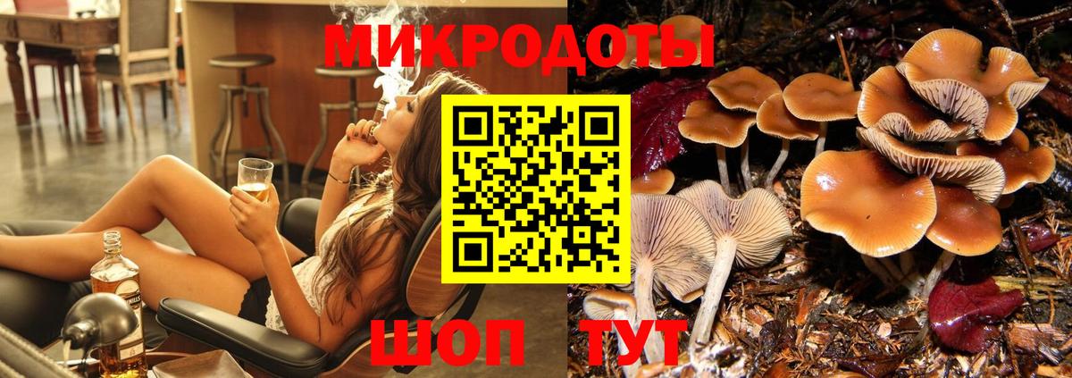 Топки  Псилоцибиновые грибы мухоморы  купить  сайты  Вход с VPN 