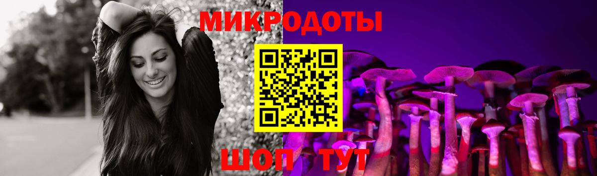 Псилоцибиновые грибы Psilocybe Топки
